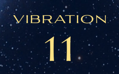 vibration 11 : le maitre inspiré