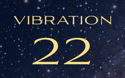 vibration 22 : le batisseur inspiré