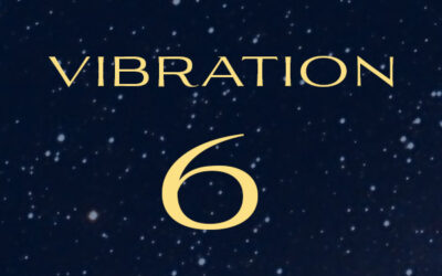 vibration 6 : le gardien de l’harmonie