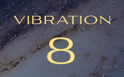 vibration 8 : le leader du monde matériel